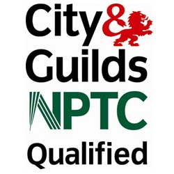 City and Guild qualified tree surgeon.