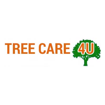 tree surgeon and arborist based in North London, Bedfordshire, Buckinghamshire and Hertfordshire